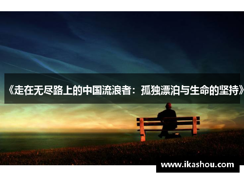 《走在无尽路上的中国流浪者:孤独漂泊与生命的坚持》 《走在无尽路上的中国流浪者:孤独漂泊与生命的坚持》
