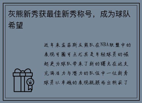 灰熊新秀获最佳新秀称号，成为球队希望