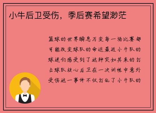 小牛后卫受伤，季后赛希望渺茫